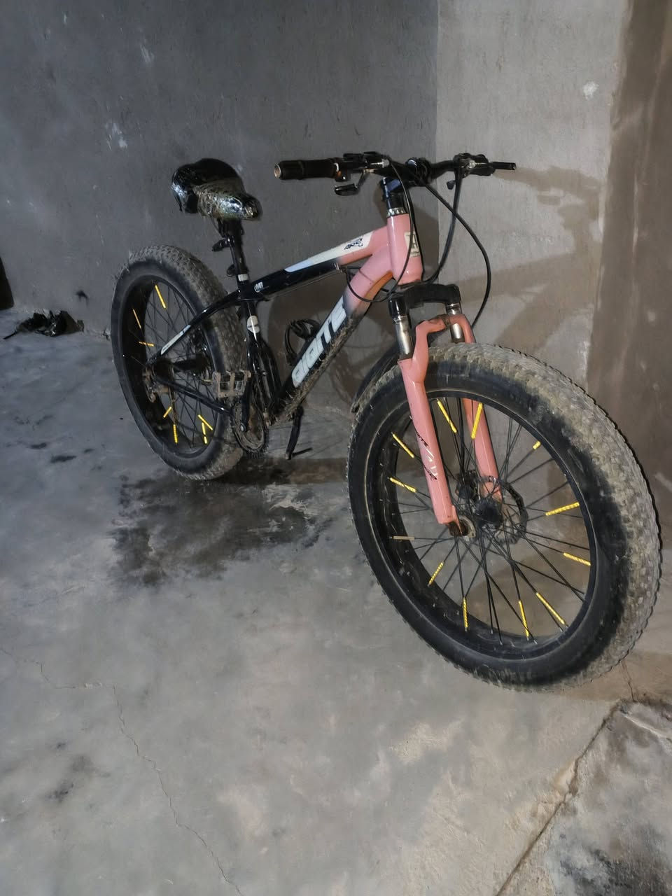 السلام عليكم 
بايسكل للبيع 
السعر 85 الف و بي مجال 
عنوان بغداد ناحية الوحده الحريه 
الاتصال (***********)
بي واتساب
