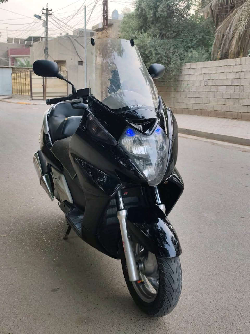 سلفرونج • ٦٠٠ • وارد امريكي