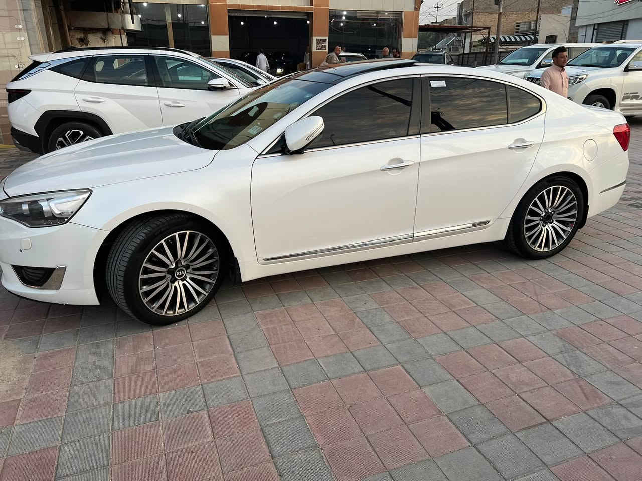 كادنزا فول • ٢٠١٤ • رقم اربيل