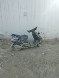 فراشة • مجال