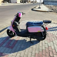 بوليس • نوزل • سلف