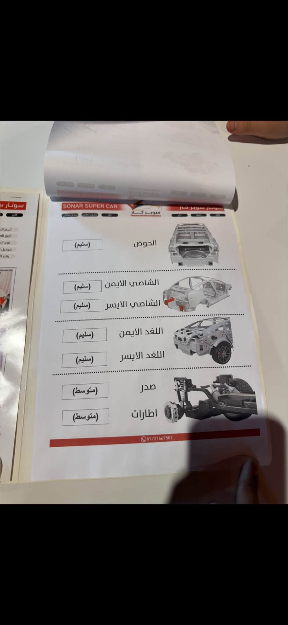 وارد امريكي • أبيض • ٢٠١٦