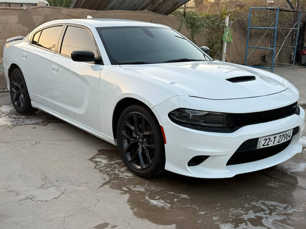 🔥 للبيع جارجر SXT موديل 2023 🔥
🚘 وارد أمريكي | جاملغ وبنيد

🤍 لون أبيض | استعمال شخصي

📍 موجودة في الديوانية | رقم اربيل إنكليزي باسمي

سياره تسجيل جديد

🛣️ الممشى: 54 ألف مايل

💰 السعر: 230 وبيها مجال

📱 ***********
