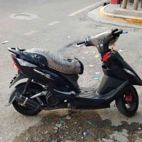 جتي ار • ثعلب • نضيف