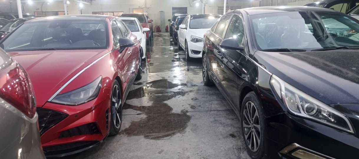 قسط • سكنة بغداد • واتساب