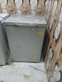 مجمدة • نظيفة • غصن البان
