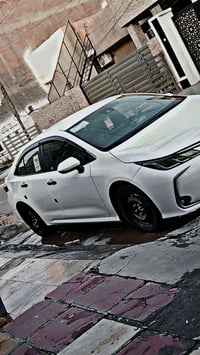 كورلا • ويل كب • مقاس ١٦