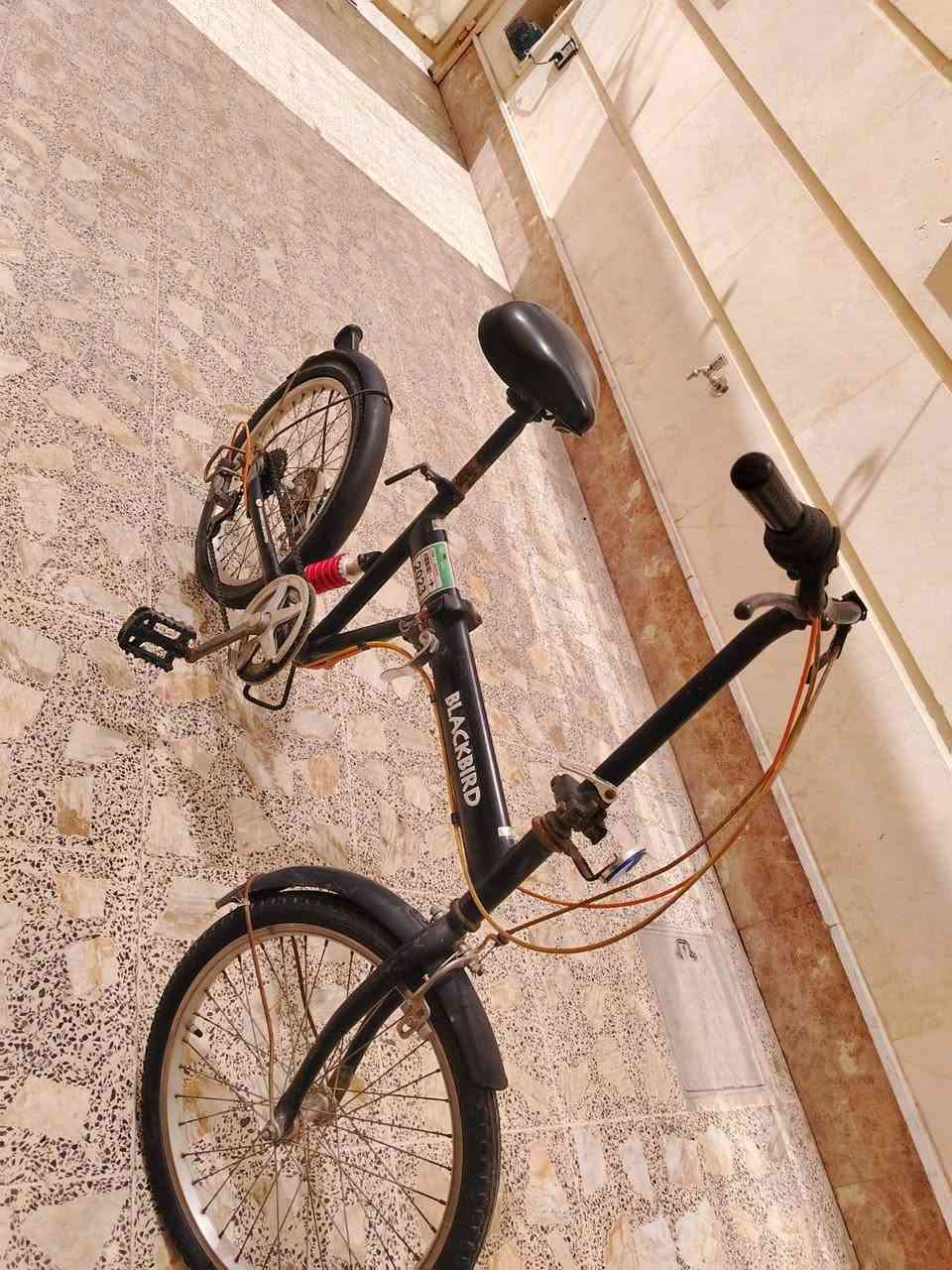 السلام عليكم بايسكل ياباني اصلي يطبك استيرن و لشه بايسكل جديد الله شاهد مابي اي نقص كامل مكمل مابي اي نقص جديد مكاني بغداد السيديه
*********** واتساب
السلام عليكم بايسكل ياباني اصلي يطبك استيرن و لشه بايسكل جديد الله شاهد مابي اي نقص كامل مكمل مابي اي نقص جديد مكاني بغداد السيديه
