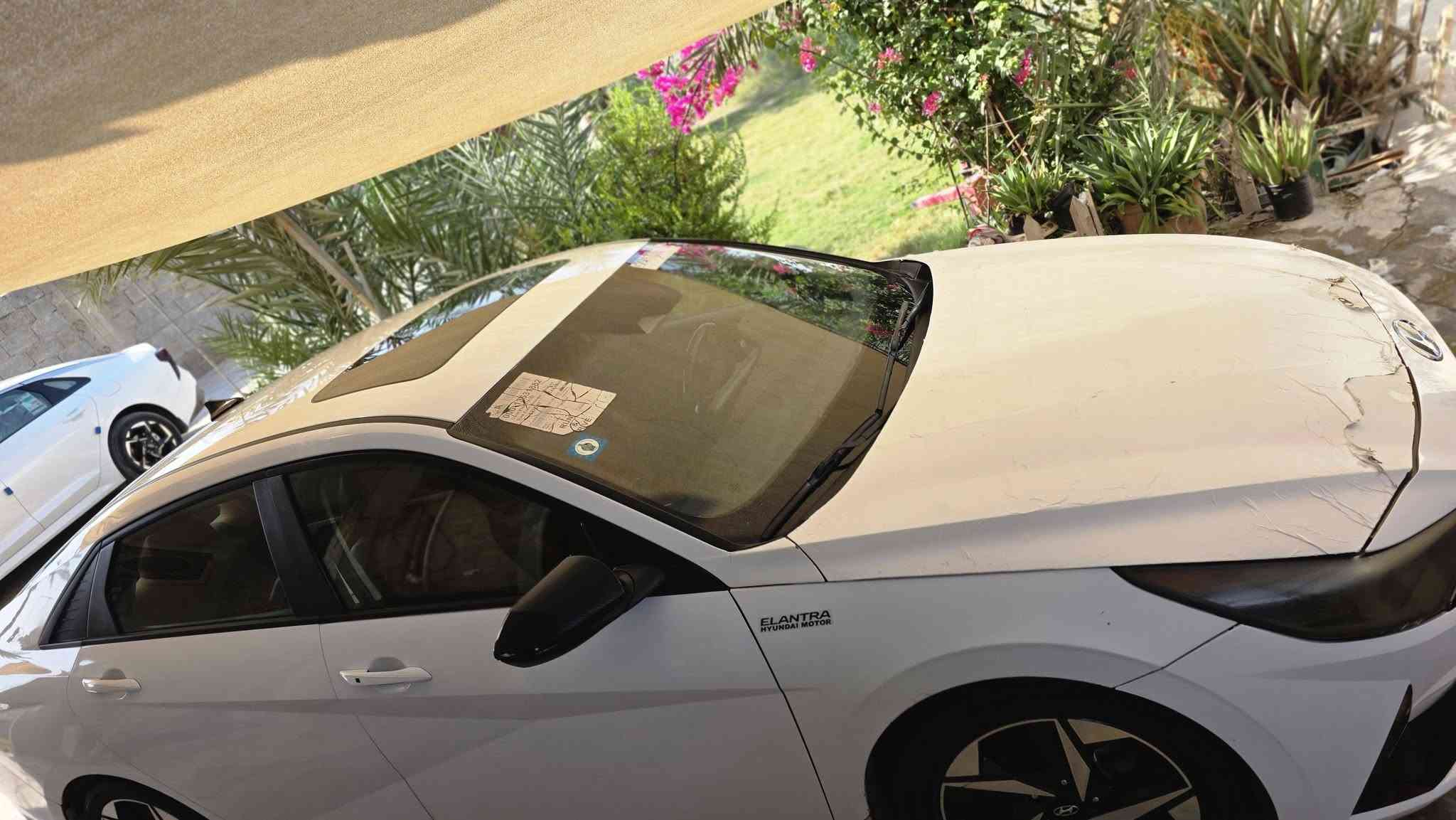 السلام عليكم إلنترا 2022وارد أمريكي فول موصفات حادث جاملغ وبنيد مبدل وصبغ بل جاملغ الخلفي عكس السايق وصبغ بل مكان المحدد بل صورة
السلام عليكم إلنترا 2022وارد أمريكي فول موصفات حادث جاملغ وبنيد مبدل وصبغ بل جاملغ الخلفي عكس السايق وصبغ بل مكان المحدد بل صورة 
مواصفات فتحه  ويل كب  بصمه جنطة كهرباء
كشنات جلد تدفئة بل مقاعد  وتدفئة بل مقود 
كامرة خلفية تشغيل عن بعد تلث انظمه قياده 
مكينة 2000دوش متواجد وتساب 
***********
سعر 135$ورقة
مكان بغداد قرب جسر الدوار
