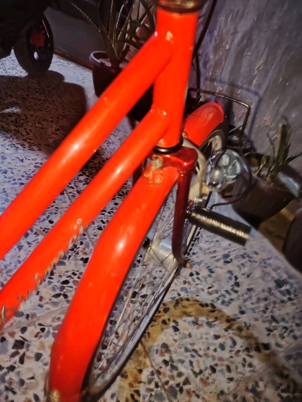 باسكل • نضيف • ياباني