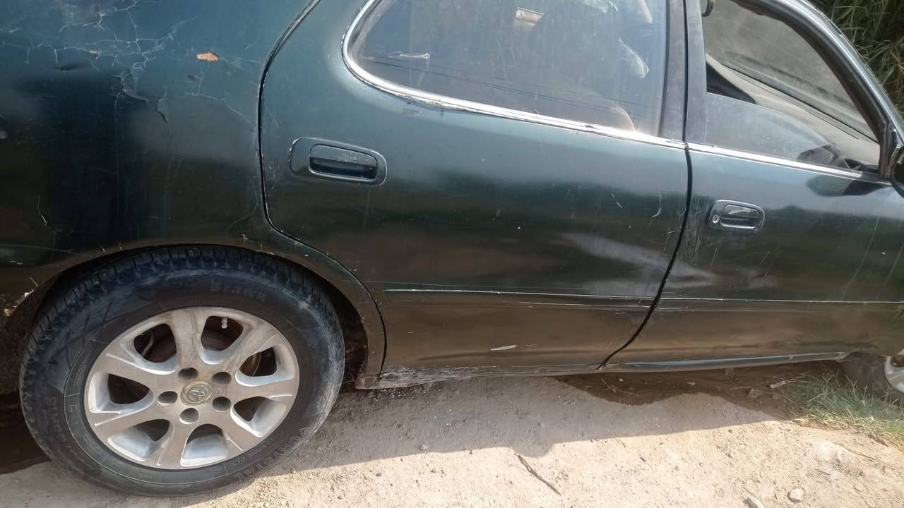 كرستا • موديل ١٩٩٦ • السنوية نافذة ٢٠٢٦