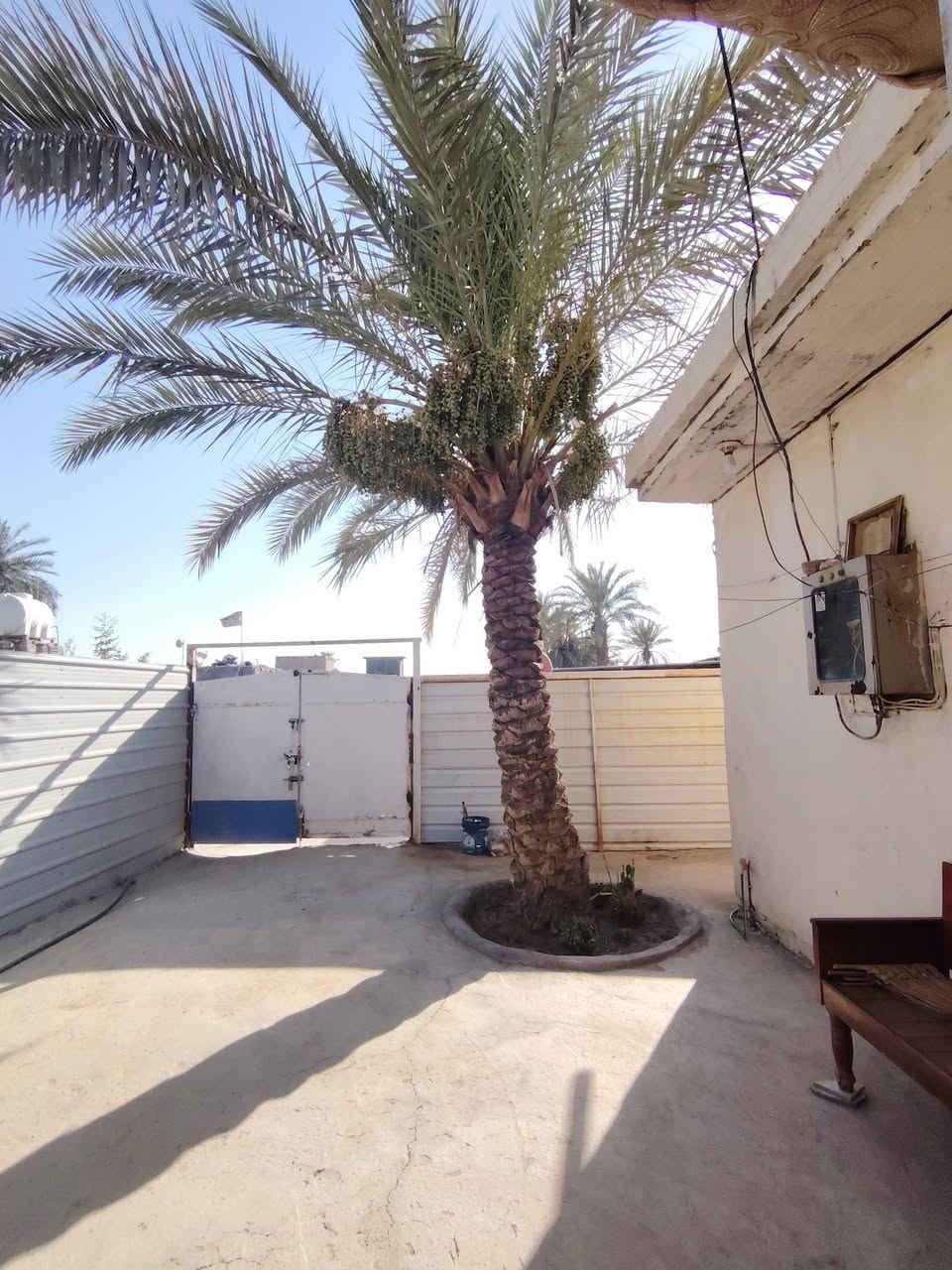 سلام عليكم بيت للبيع صلاح زراعي مساحته 150متر مربع متكون من غرفه النوم وصاله ومطبخ وصحيات وطارمه  شارع 80من جهه كربلاء قريب من جامع الرحمان السعر 25وبي مجال اتصل وبيك خير ودلل *********** اتصال لو واتساب
