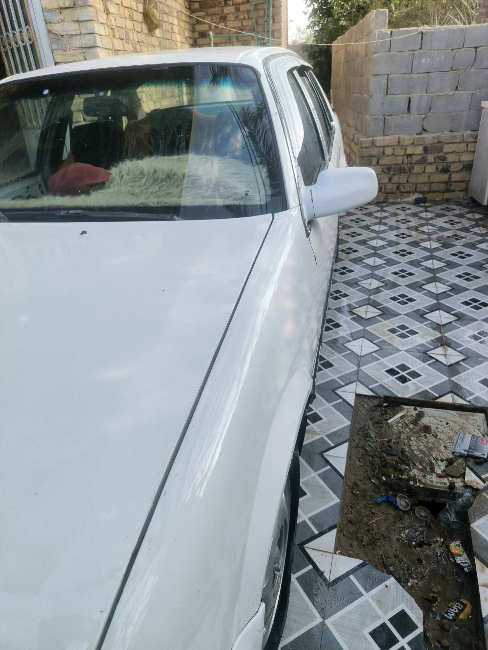 برنس ٩٣ • مصبوغه • رقم بابل