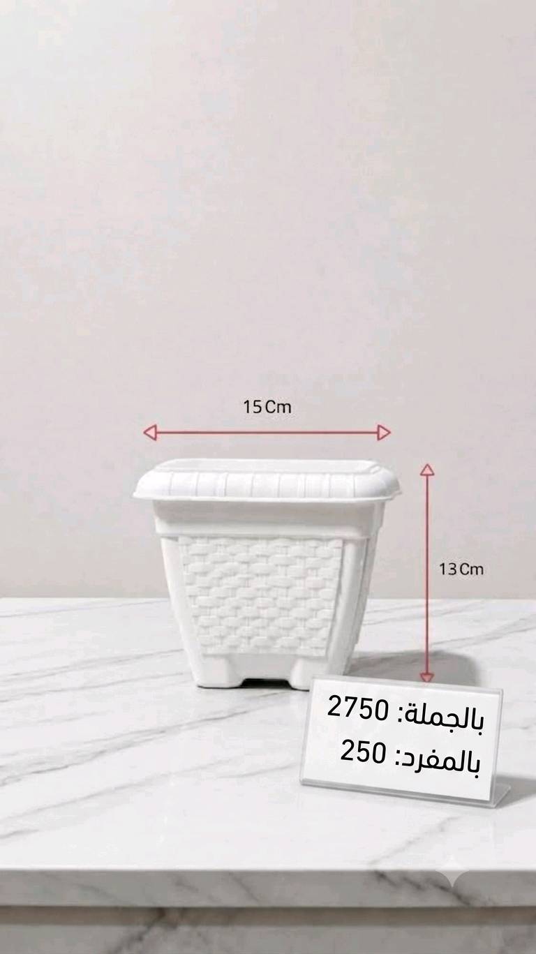 أرخص أسعار بل سوق سنادين نباتات بيع جملة ومفرد وهناك خدمت 

🛑توصيل موصل والمحافضات  
🛑 متواجد على الواتساب ***********