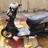 منغولي • كابريتر • ناصريه