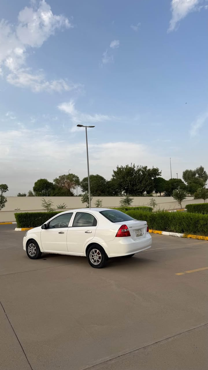 آفيو • ٢٠٠٩ • توماتيك