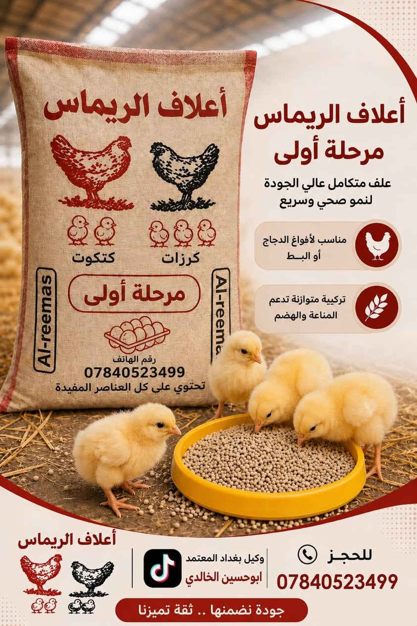 يا الله سلام عليكم  وكيل معتمد في بغداد وضواحيا 
اعلاف الريماس تجهيز  اعلاف الريماس 
في بغداد وضواحيا اعلاف الريماس غني عن تعريف
لمجربه اول مره معافه يوجد توصيل  بغداد  وضواحيا  
*********** رقم اعلاف الريماس  بي واتساب
تجهيز محلات ليريد يسترزق بغداد  وضواحيا 
تجهيز اعلاف الريماس 
مرحله ااولى
مرحله ثانيه
مرحله ثالثه سوبر بياض
 بادارت نوار الريماس 
اعلاف الريماس

