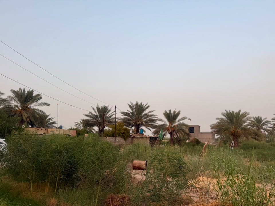 ( ٤ ) دوانم طابو زراعي في ( البو خظر ) 
بجانب ( محطة واسط الحرارية ) 
وجه على ( الشارع ) 
الوجه / ٧٥ م 
النزال / ١٣٣ 
مع ( دارين ) بناء طابوك - صب كونكريت بناء ( حديث ) 
يوجد - ماء - كهرباء 
مع ( بستان ) موقع مميز ( للسكن ) 
تحويل ( مباشر ) 

للاستفسار مراجعة مكتب ( غيدان ) للعقار  
واسط - الزبيدية - مقابيل حي ( الصناعي )  
***********  
*********** محمد سيد غازي
