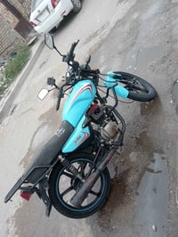 شاينك • ١٥٠ • ٢٠٢٣