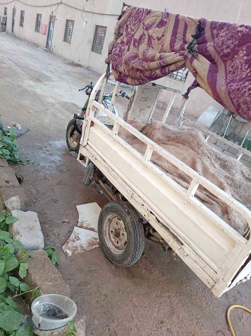ستوته • مكينه نضيفه • ناصريه مركز