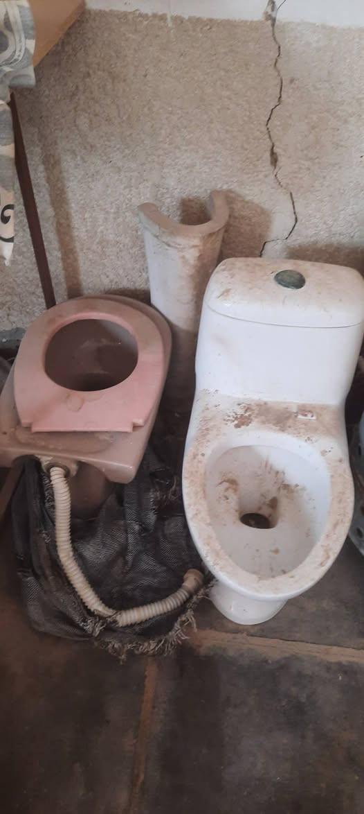 غراض للبيع كلمن وسعره  اتصال عل رقم. ***********  مكان الطعيسات  تنور ب ١٥ بي مجال 
الغربيه الوحده عل ٥٠ وبيهن مجال
بيبان خشب طلاكه وربع ب ٢٥ الف 
الصوبه ب٢٥ الف  معرض خشب مع كوميدي  كلهن ب ٢٥
