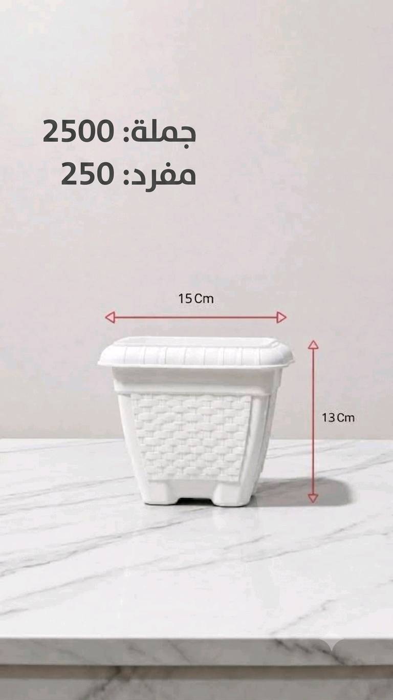 أرخص أسعار بل سوق سنادين نباتات بيع جملة ومفرد وهناك خدمت 

🛑توصيل موصل والمحافضات  
🛑 متواجد على الواتساب ***********