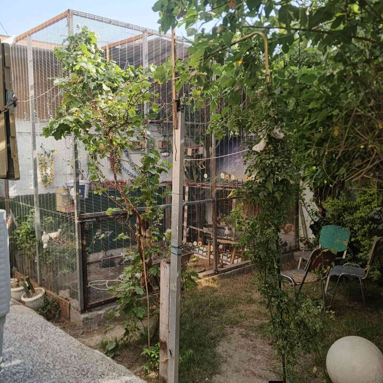مرحبا بيت زراعي سند 25 مساحه 200 متر ويا 50واقع حال يعني 250 طابق ونص 5غرف نوم مطبخ وستقبال وحديقه وكراج ويطل على شارعين مكان زعفرانية نهاية شارع المعهد قرب جامع المصطفى سعر130 عارضه اقل من قيمه البيت والمنطقه لين مستعجل على البيع *********** واتساب ***********
