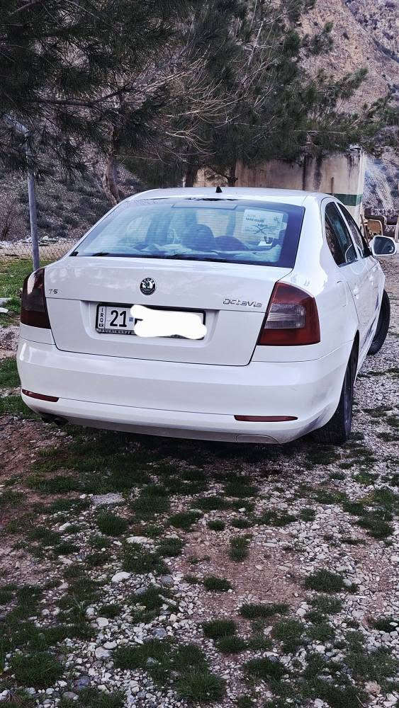 سکۆدا ئۆکتاڤیا 2013 

مەکینە ١٨ تۆڕبۆ

مەکینەی تازەی کراوەتە سەر

گێڕو مەکینە و تەبریتی بەشەرت

گێڕ عادی

تەکسی بووە کراوەتە خسوسی
بۆیاخی دەرەجە یەک کراوە

سەنەوی تا 2030 تازەیە

سعری 60گەڵاو معامەلە

بۆ پەیوەندی *********** السليمانية, العراق
