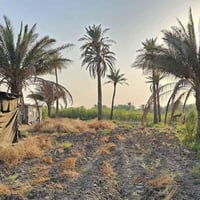 كربلاء الدويهية • دونم • طابو ٢٥