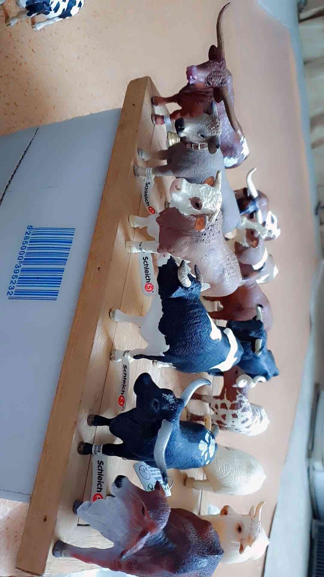 للبيع مجموعه كامله
