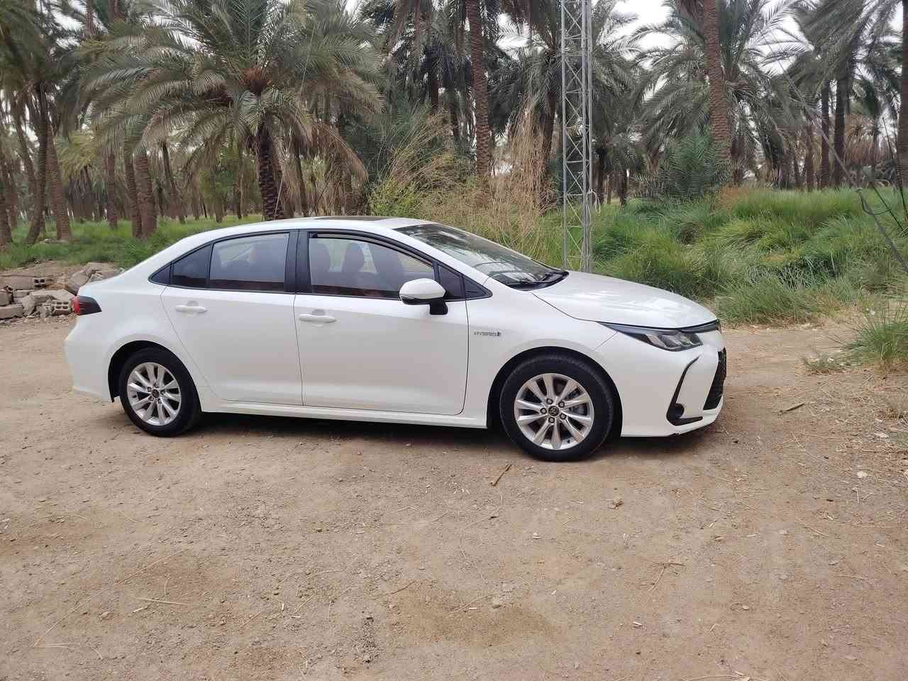 كورلا هايبرد • ٢٠٢٤ • رقم بغداد
