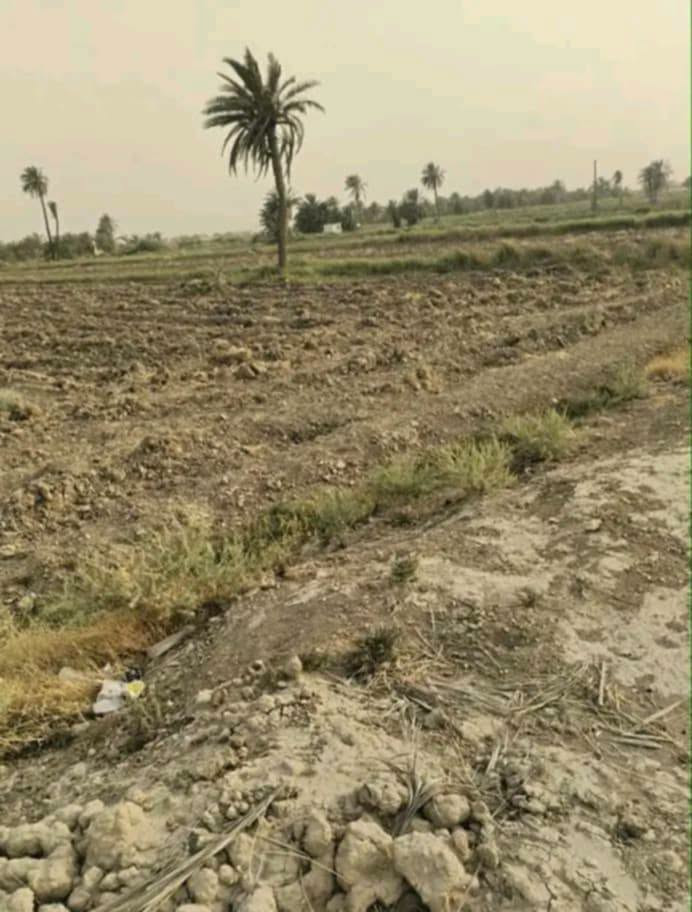 ٣ دونم • طابو مداور • قرب النفق