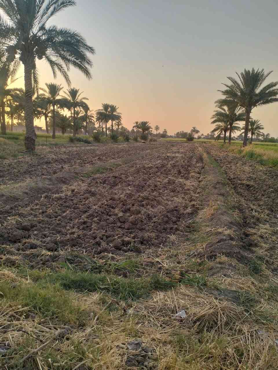 ارض دونمين للبيع في ابو غريب منطقه البعامر قريبه على مستشفى ابو غريب غريبه على المدارس زادا شارع عرض،سته امتار وتبعد عن الشارع الرئيسي 50 متر خدمات ماي ساله ماء ما سقي كهرباء قريبه رقم الهاتف *********** هذا بي واتساب الرقم الثاني***********
