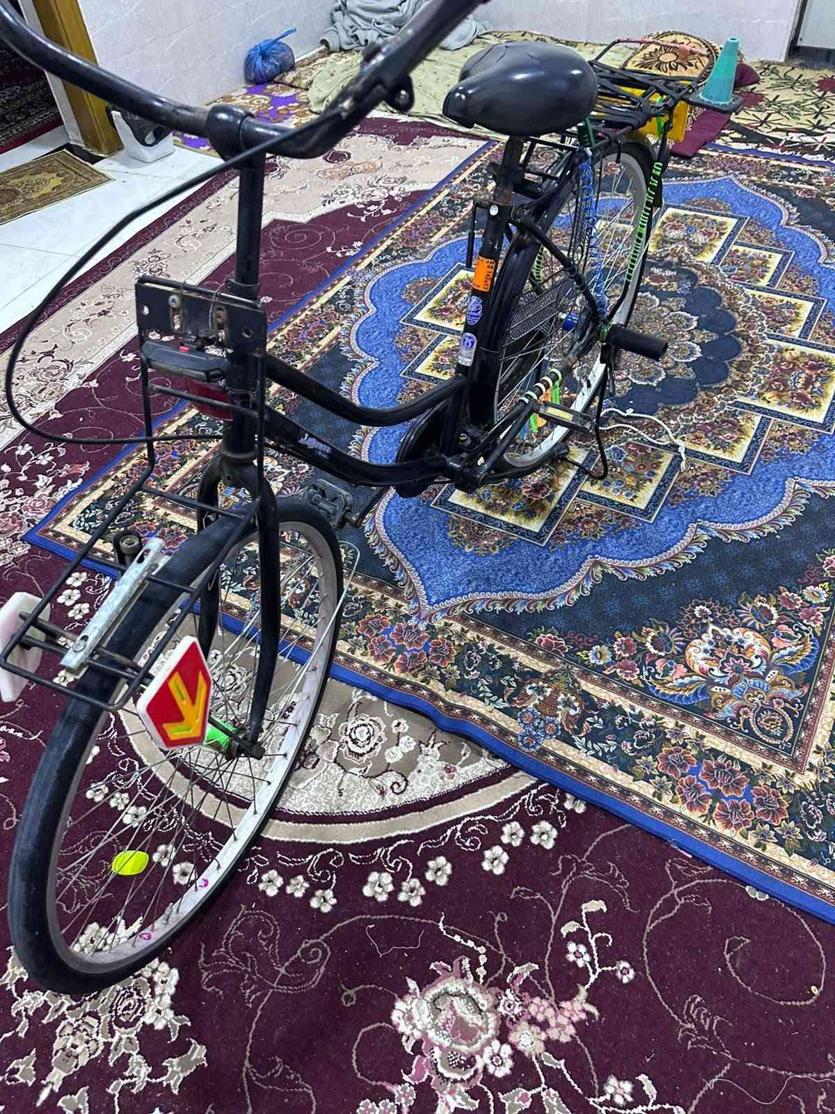 بصرة • باسكل • يخبل