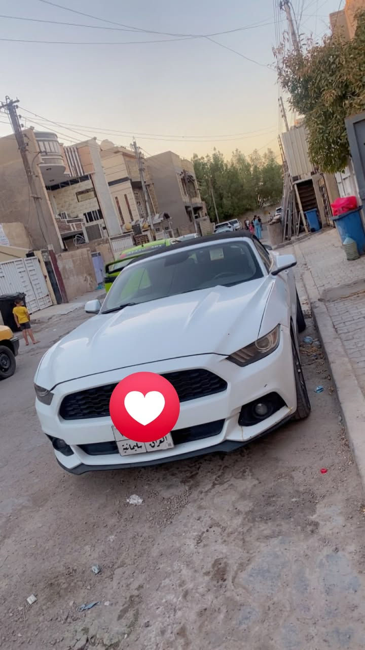 فورد موستنك  موديل 2017
للبيع 
ايكوبوست بريميوم اعلى فئة 
موديل 2017 
تيربو 2300
كشف شغال 
اللون ابيض
دشبول سبع الوان 
إشارات ترحيبية 
جناح خلفي 
مثبت سرعه 
قيادة ذاتية 
تشغيل عن بعد
أنظمة قيادة متعددة 
أناره ارضيه وجانبية 
شاشة كبيرة كار بلاي 
تبريد ثلج 
كشنات كهربائية تدفئة وتبريد 
تحكمات سترين 
بيهة جاملغ وبنيد وباب هاذه رقمي ***********مكان بغداد سيديه

نص مكتوب في الصور:
- 6:08 م