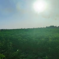 قرب الطاقة • ٣٠دونم • ضمان سيسبان