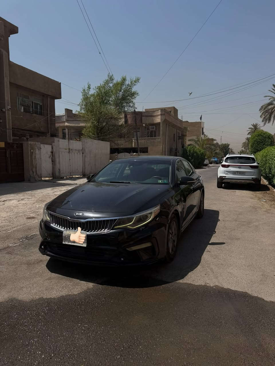 السلام عليكم
كيا اوبتيما وارد امريكي موديل 2019
محرك 4 سلندر 2400
حادثها من امريكا بنيد مبدل فقط
بيها ضربة بباب السايق هنا بالعراق وعلى وضعها ممصلحها
السيارة مواصفات FE المعروفة
شاشة جبيرة
كامرة خلفية
حساسات خلفية
تحذير نقطة العمياء
نظام المحافظة على المسار
نظام بريك تلقائي مانع تصادم
كروز كونترول
تحكمات كاملة بالستيرن
مودات قيادة سبورت - كومفورت - ايكو
السيارة ماشية 66 الف ميل 
گير ومحرك وتبريد مكفولات
عليها تخم تايرات جديد
فيتبم اصلي جديد
بلكات اصلية جديدة
وقبل شهر مسويلها ادامة وتنظيف لغرف الاحتراق

صور الحادث ورقم الشاصي مرفقات بالمنشور

السعر ١١٥ ورقة وبيها مجال للطيبين 
اللي يحب يستفسر يتصل وميكون خاطره الا طيب
***********

