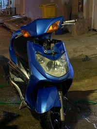 سكنس نوزل • ياباني • مراوس