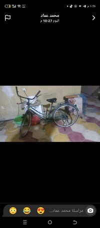 باسكل • نضيف • زيتوني