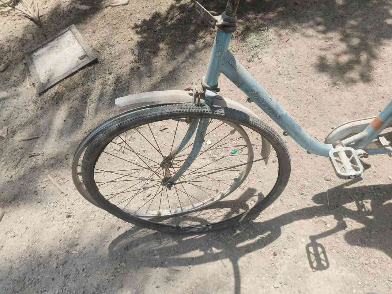 سلام عليكم باسكل للبيع ما محتاج شي محتاج بس جوب بس جوب سعر 60  وبي مجال قليل ...  اتصال على الرقم الهاتف  ***********

