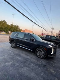 بليسايد • ٢٠٢٤ • فئه الكلكراف