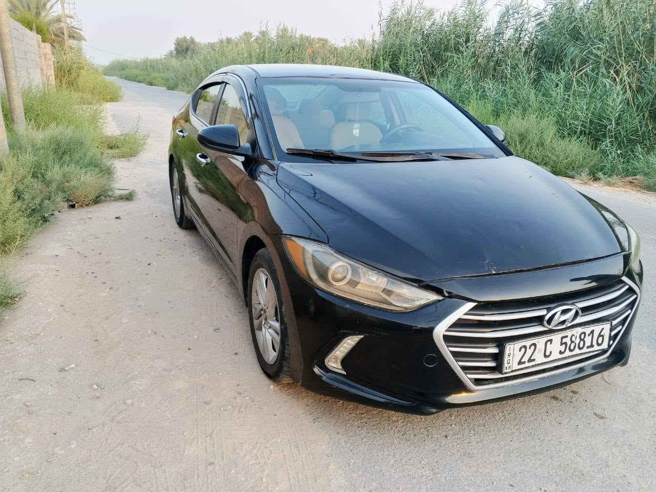 النترا • ٢٠١٧ • مكفولة