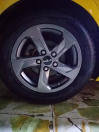 ويل كب • تايرات جديدات • بابل الشوملي