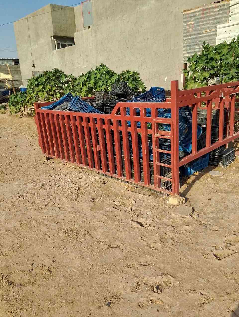 السلام عليكم اخوان محجل البيع شقل درجه أولا مال عموشه مكانه الانبار العامريه ***********
