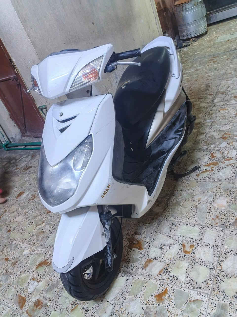 سكنس فحل • ياباني • ١٤٠