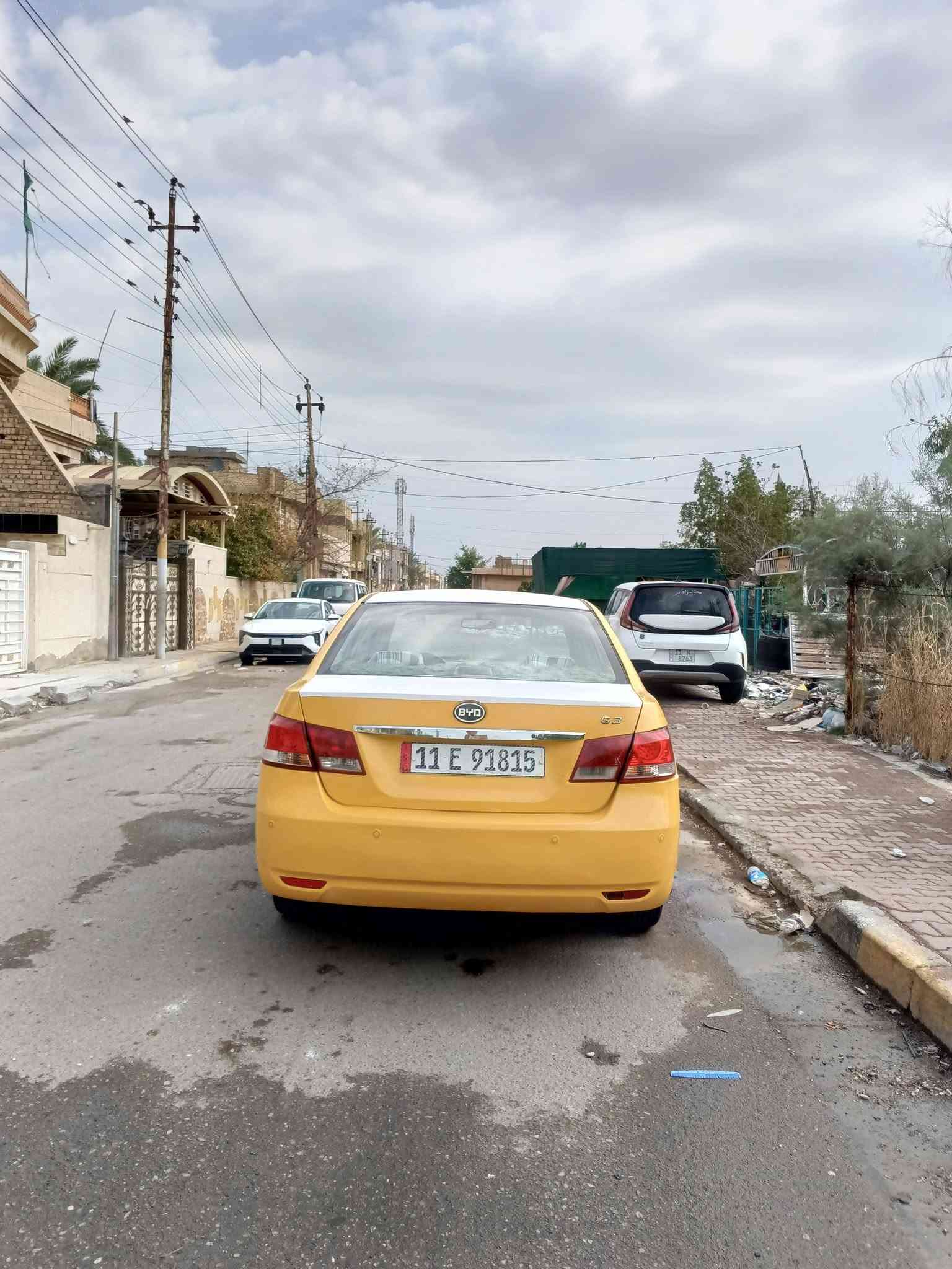 مكفوله • ضربه وصبغ • ٢٠١٣