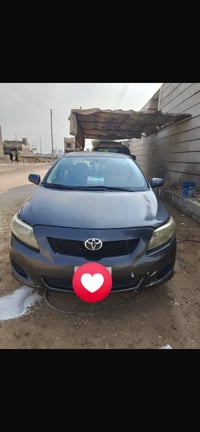 كورلا • ٢٠١٠ • وارد امريكي