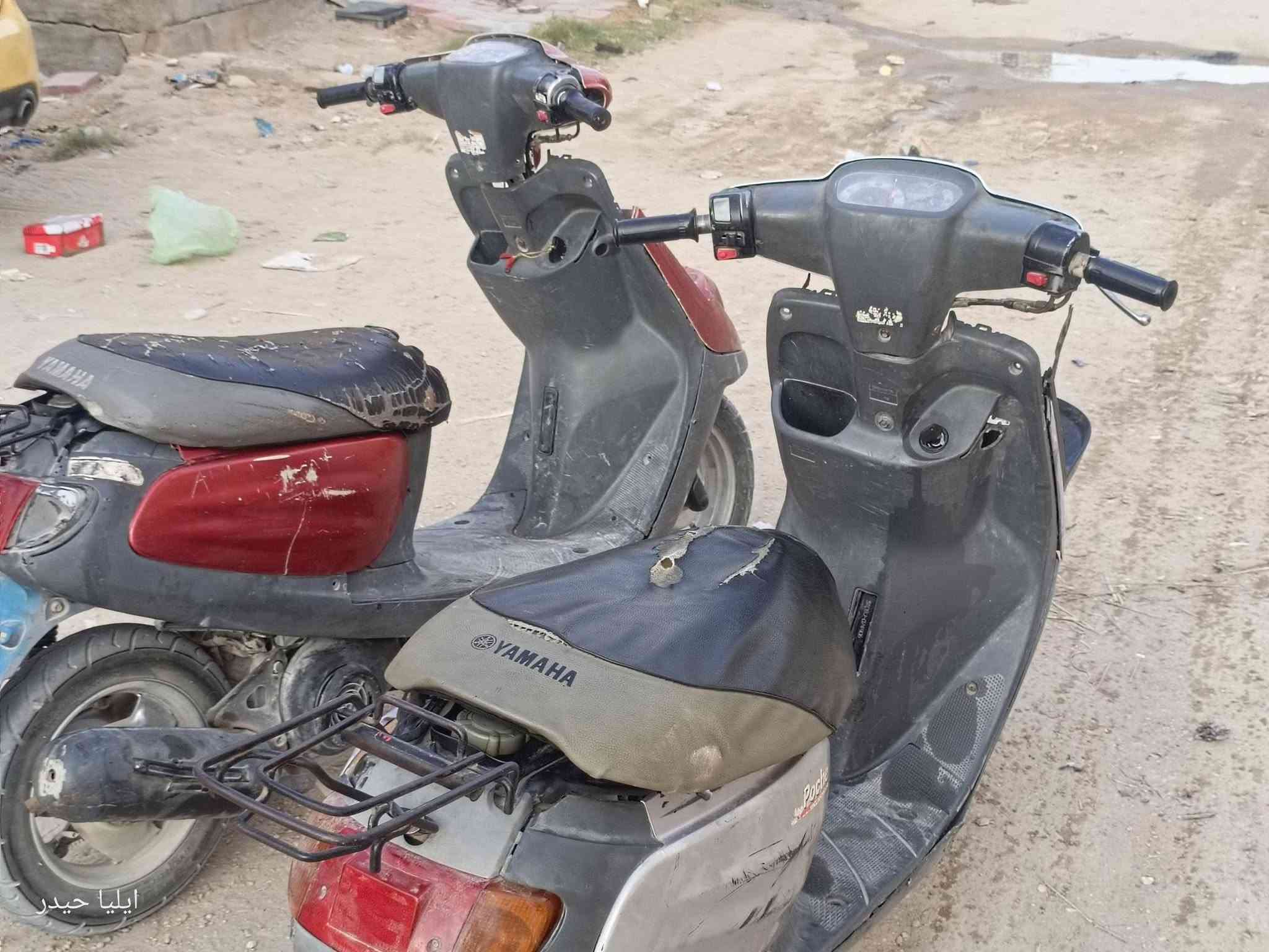 250 وبيهن مجال قليل 
اكفلك سرقه كل تفاصيل بل فيديو 
وابيعلك كوم حديد 
كربلاء الامن الداخلي 
***********

نص مكتوب في الصور:
- ايليا حيدر
- ایليا حيدر