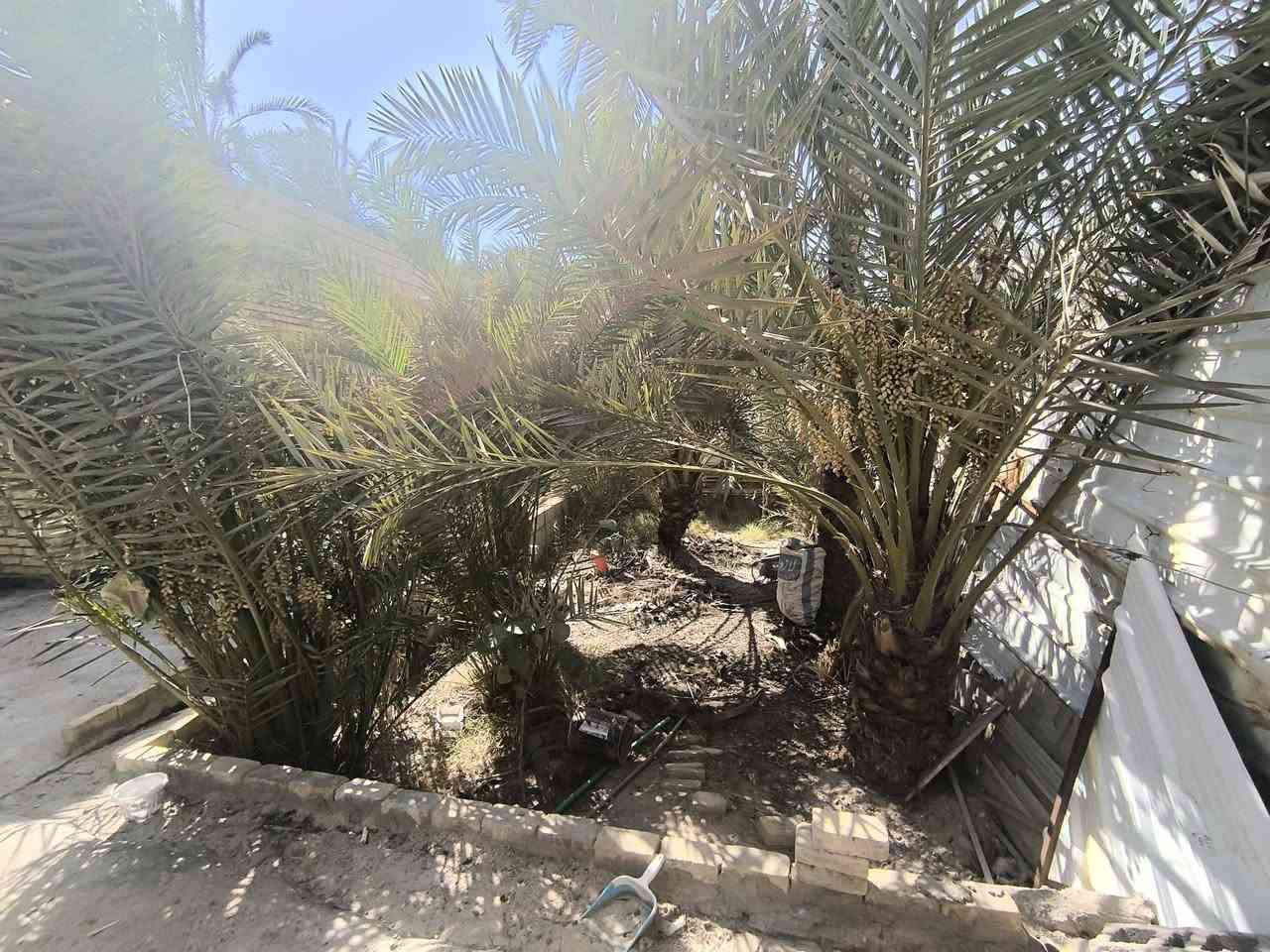 السلام عليكم منزل وبستان للبيع 
الموقع: عويسان
📐 المساحة الكلية: 700 م²
📄 السند: طابو صرف
🏡 تفاصيل العقار:
المنزل الرئيسي طابقان: مساحة 150
الأرضي: غرفتان + صحيات.
الأول: غرفتان + كليدور + صحيات.
المشتمل:  مساحة 90 غرفتان + مطبخ + صحيات، مع باب داخلي يربطه بالمنزل الرئيسي.
واجهة مباشرة على الشارع.
خلف المنزل بستان مساحة 450 يطل على شارع خلفي، مما يمنح العقار موقعًا مميزًا.
طريق خاص للبستان.
يبعد عن السوق 150 مترًا فقط.
 عقار يجمع بين السكن والمساحة الواسعة والموقع الاستراتيجي.

للتواصل ***********
