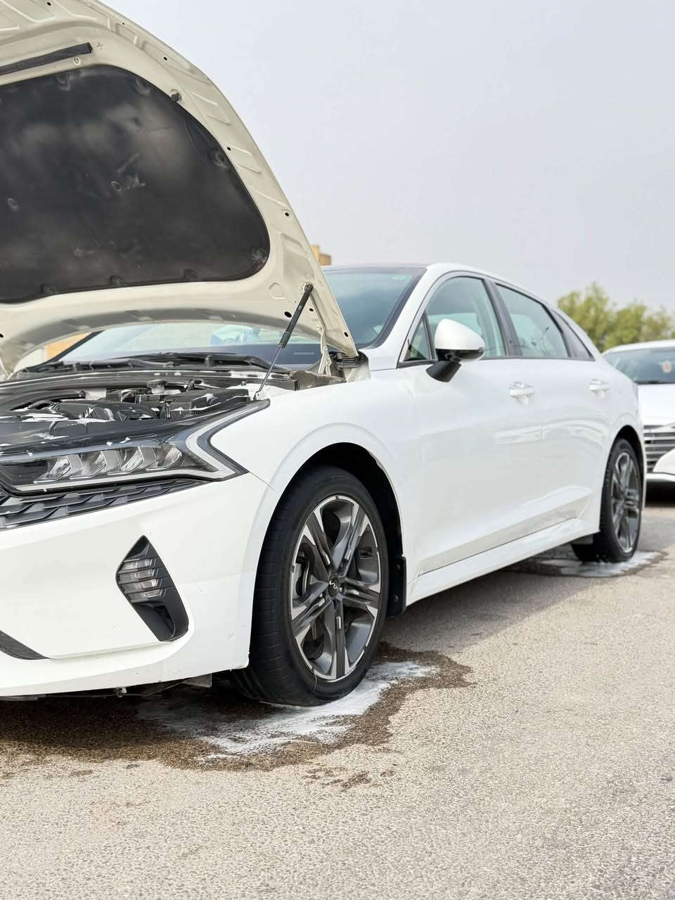 K5 2023
خليجي فول مواصفات 
بانوراما 
كامرة 
حساسات 
ويل كروم 
شاشة 
مري شفط 
5 وضعيات قيادة 
لايت 4 عدسات 
محرك 2000 دوش گير at 
تشغيل عن بعد 
ماشية 56 
السيارة بيها بارد 3 مكانات 
190 سعرها مكان السيارة الناصرية - سوق الشيوخ 
***********
